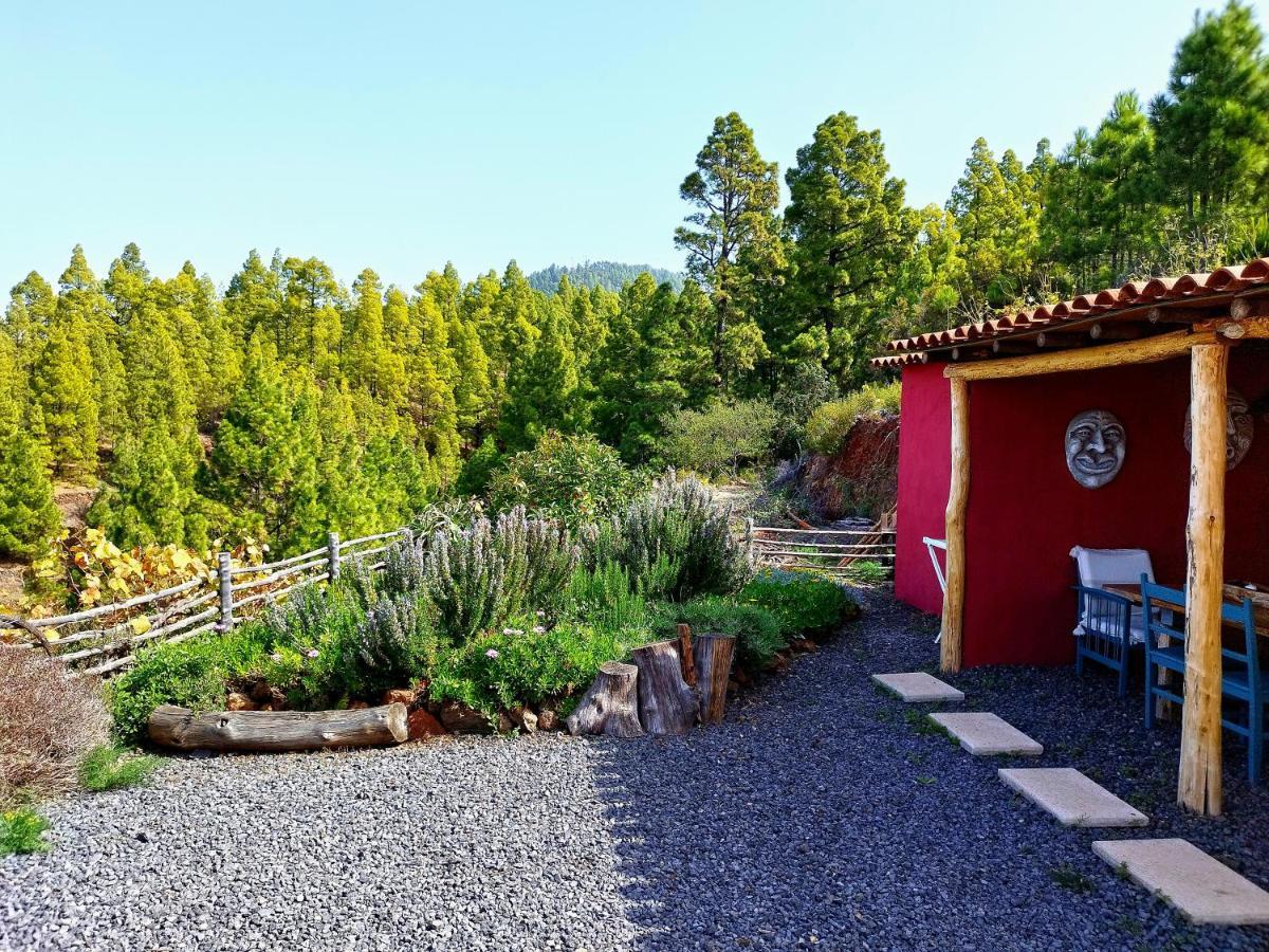 El Topo Puntagorda  Exterior photo
